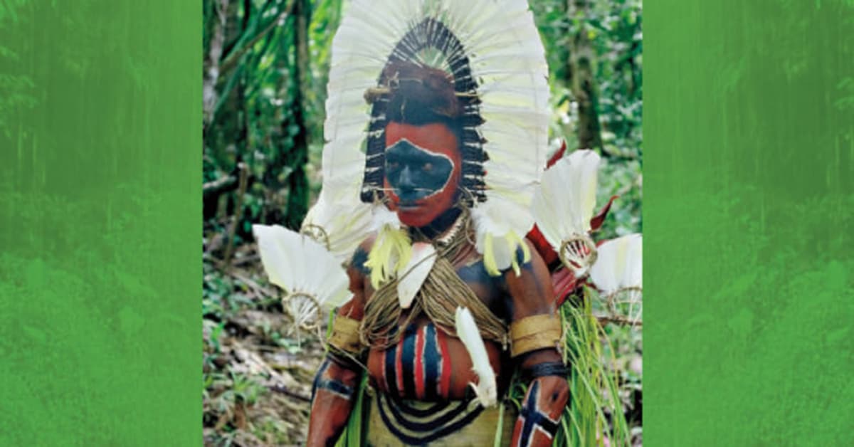 Libro: Sound and Sentiment: Birds, Weeping, Poetics, and Song in Kaluli Expression escrito por Steven Feld